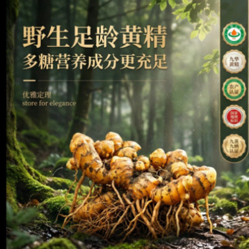 AI视频案例展示3